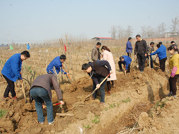 集團公司組織開展植樹活動